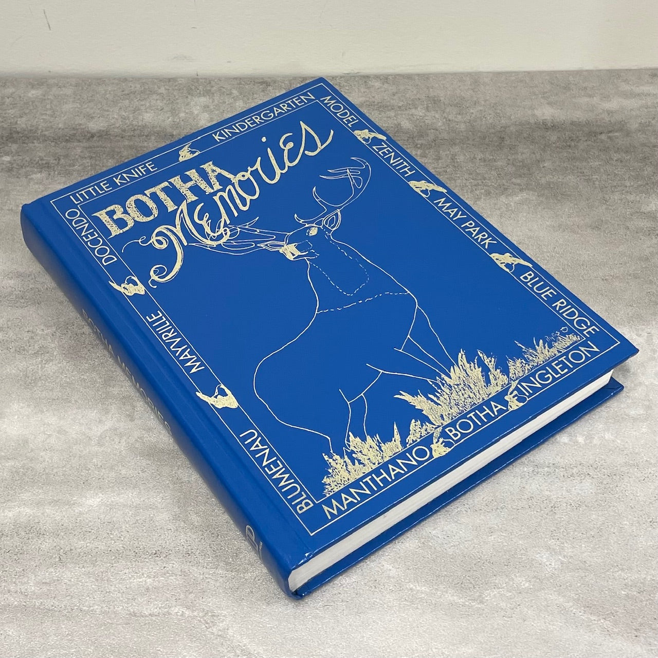 Botha Memories Little Knife Ingleton Alberta Canada Canadian History Used Book