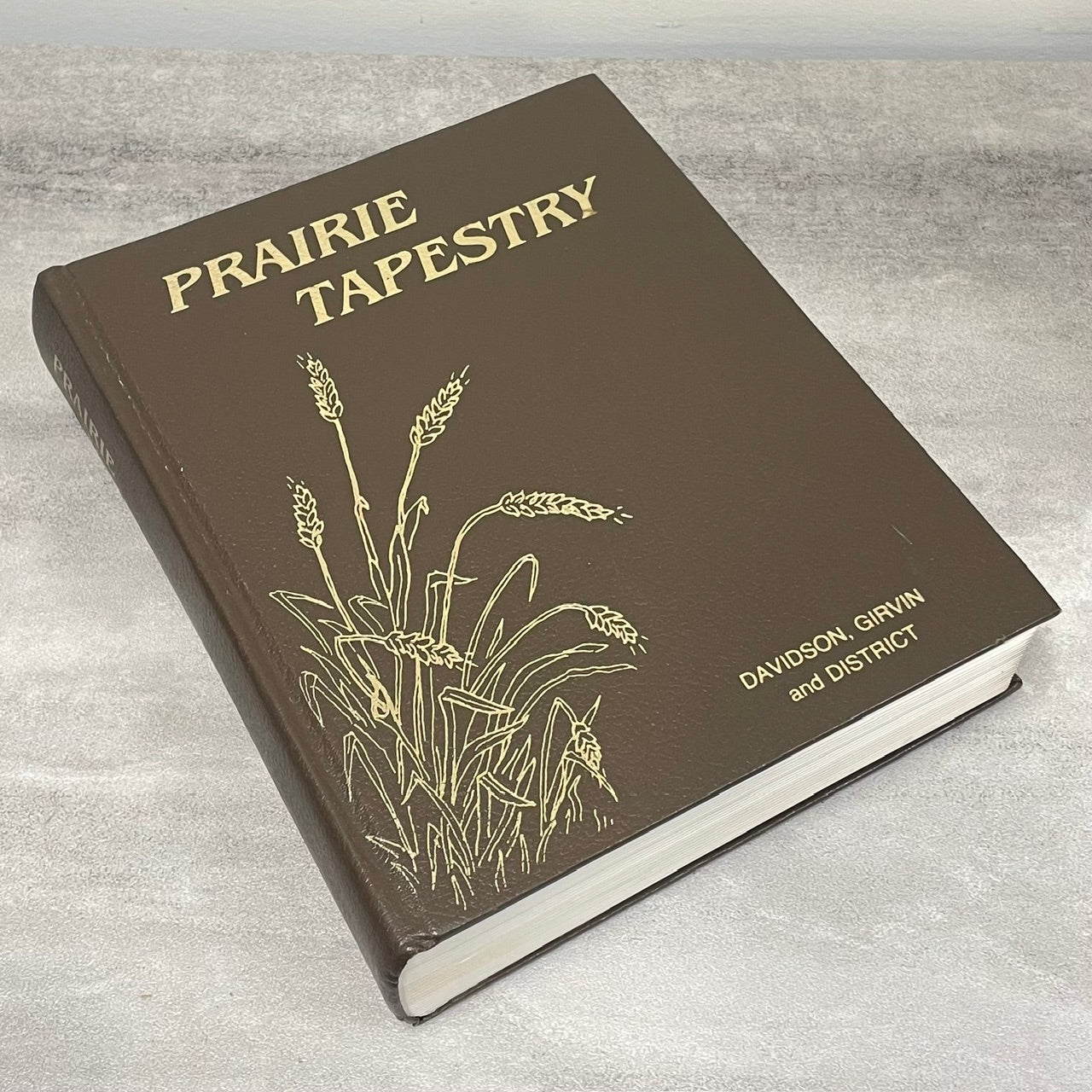 Prairie Tapestry Davidson Girvin Saskatchewan Canada History Used Book