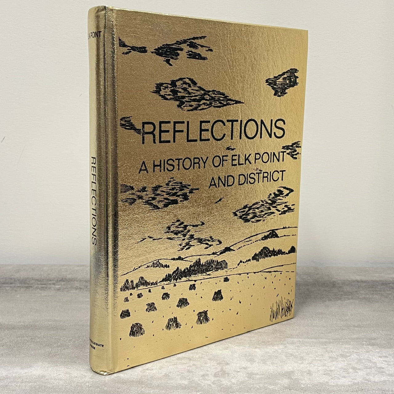 Reflections Elk Point Kehewin Alberta Canada Canadian Local History Used Book