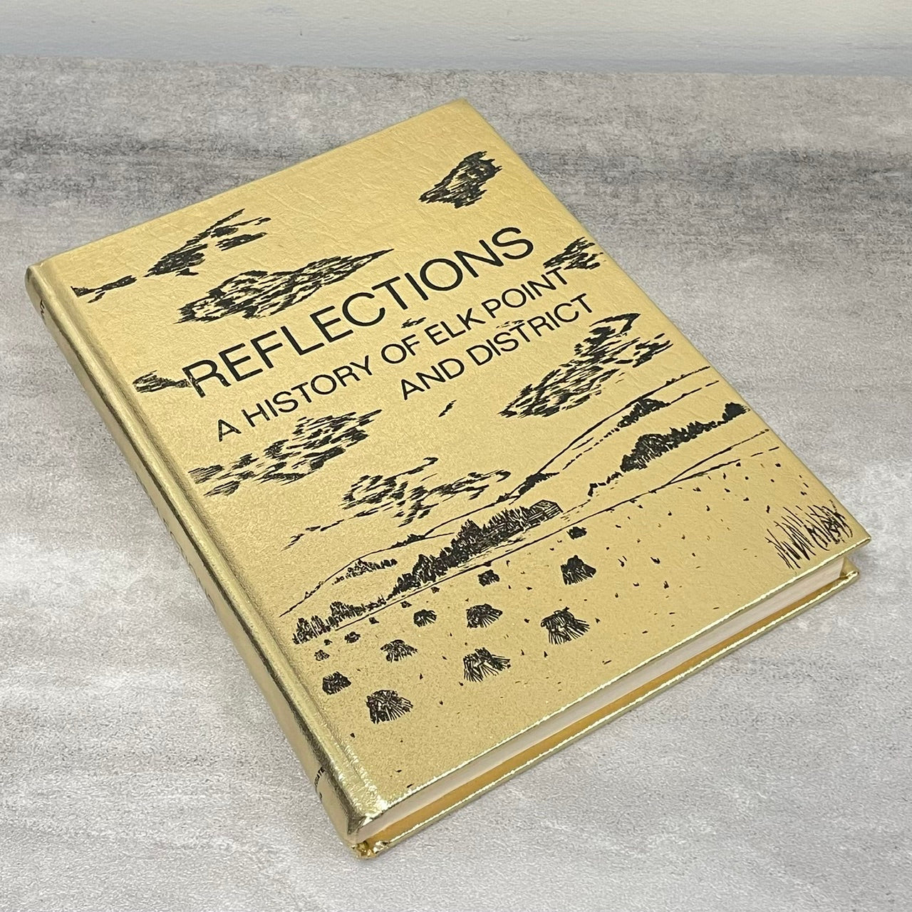 Reflections Elk Point Kehewin Alberta Canada Canadian Local History Used Book