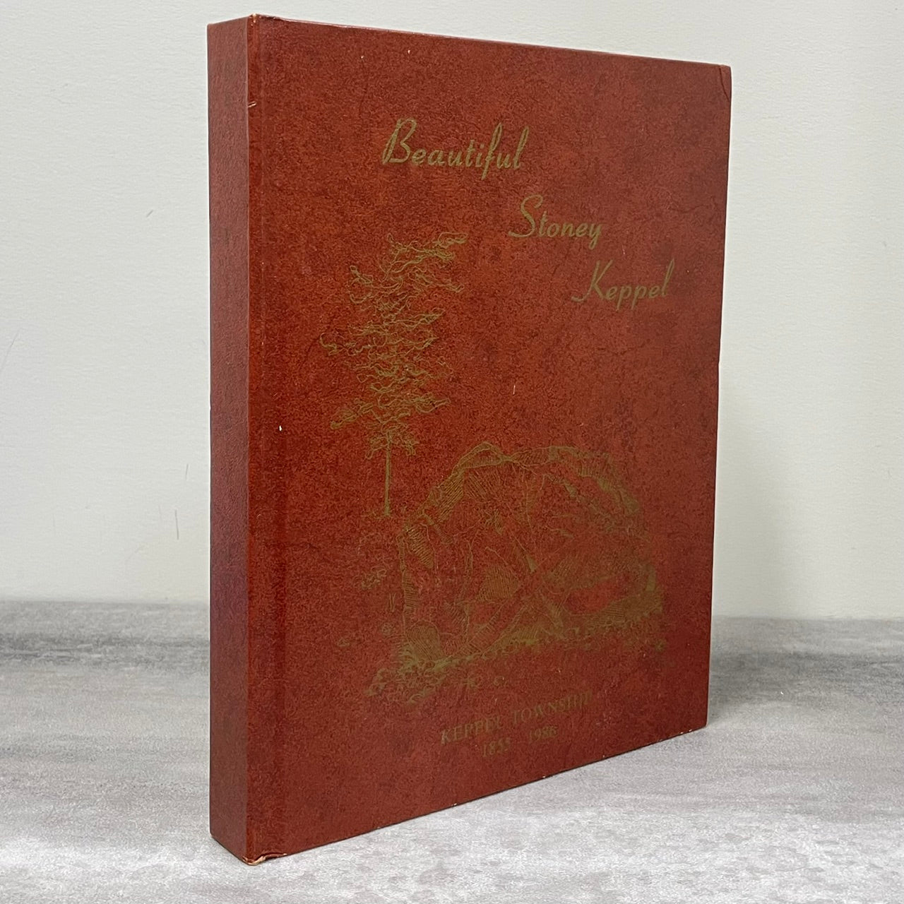 Beautiful Stoney Keppel Shallow Lake Ontario Canada History Used Book