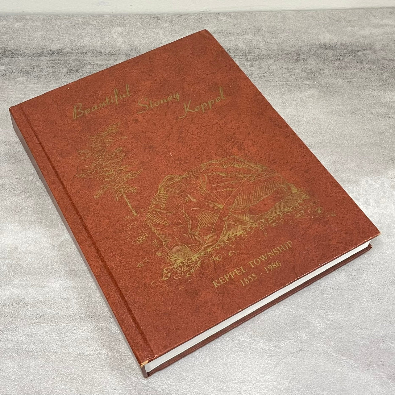 Beautiful Stoney Keppel Shallow Lake Ontario Canada History Used Book