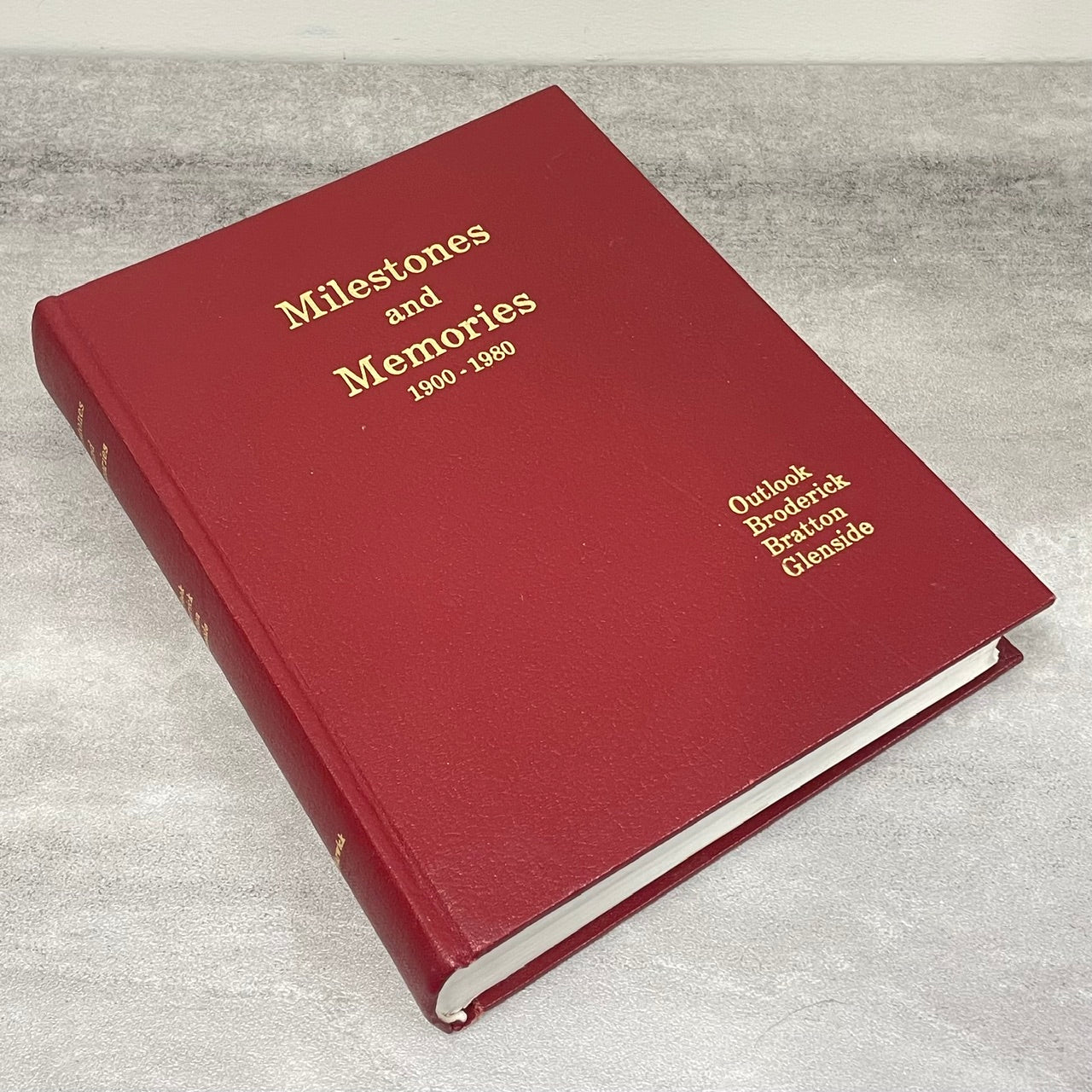 Milestones Memories Outlook Saskatchewan Canada Canadian Local History Book