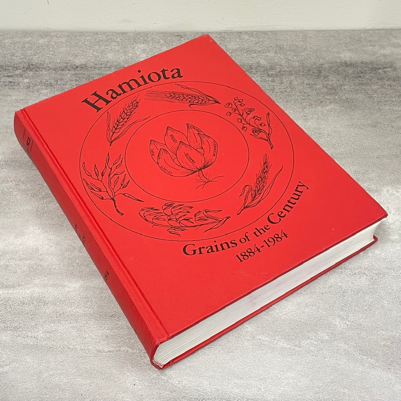 Hamiota Grains of the Century Manitoba Canada Canadian History Used Book