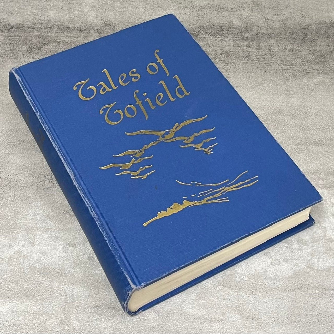 Tales of Tofield Leduc Edmonton Alberta Canada Canadian Local History Used Book