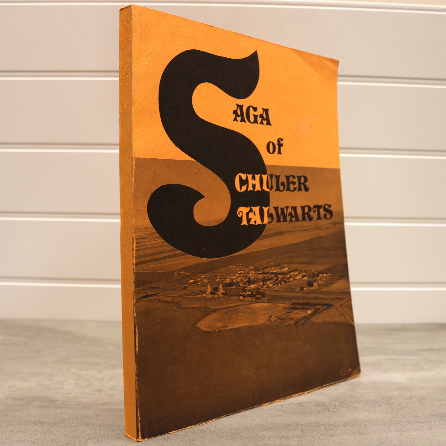 Saga of Schuler Stalwarts Alberta Canada Canadian Local History Used B Three Hills Books