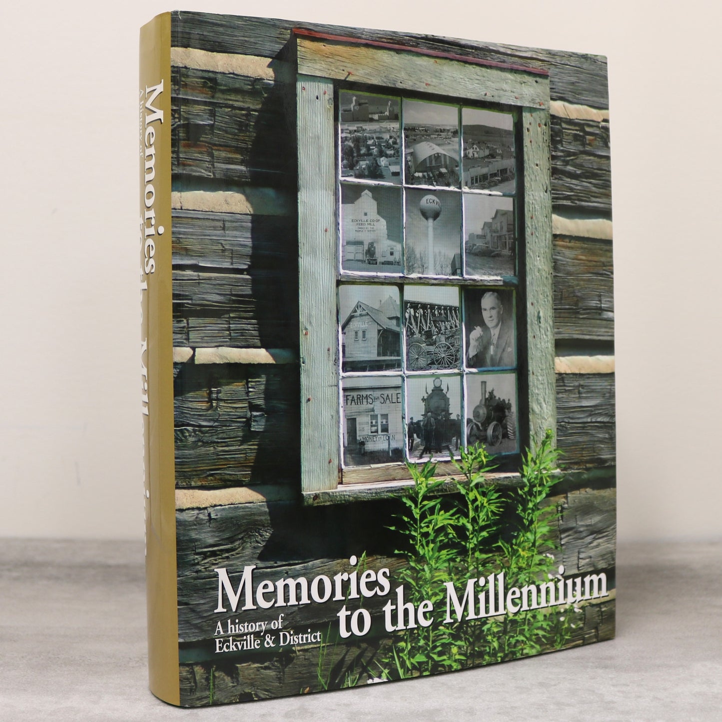 Memories Millennium Eckville Alberta Canada Canadian Local History Used Book