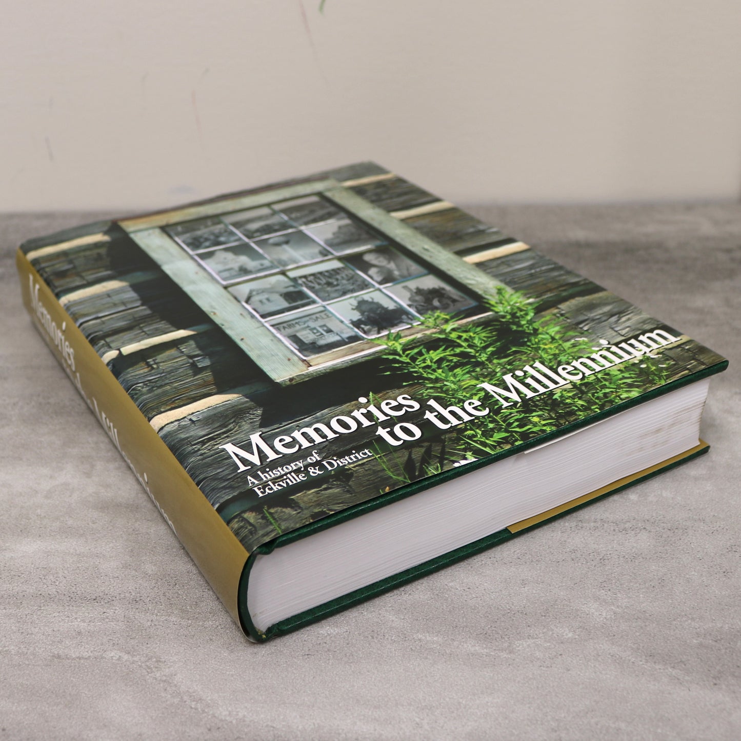 Memories Millennium Eckville Alberta Canada Canadian Local History Used Book