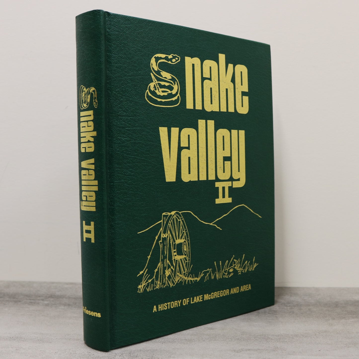 Snake Valley 2 Lake McGregor Milo Alberta Canada Canadian Local History Book