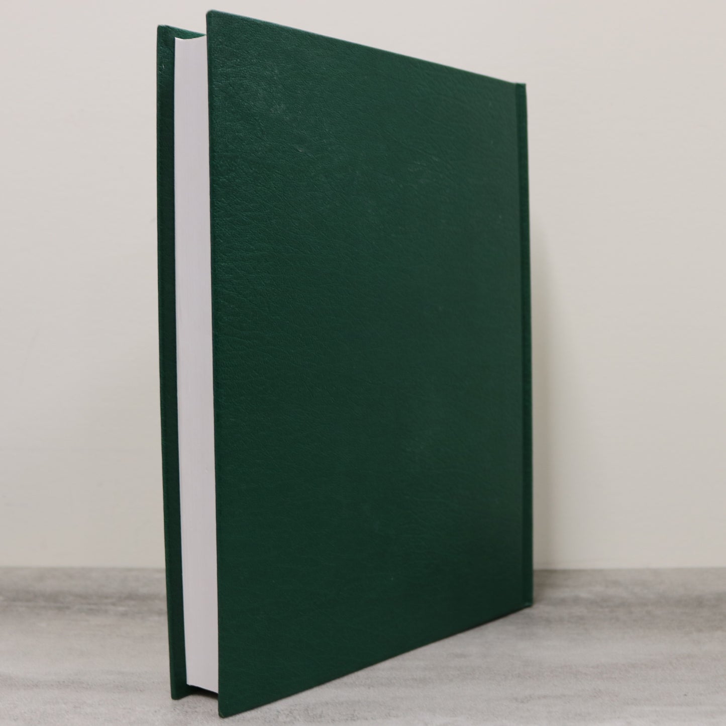 Snake Valley 2 Lake McGregor Milo Alberta Canada Canadian Local History Book