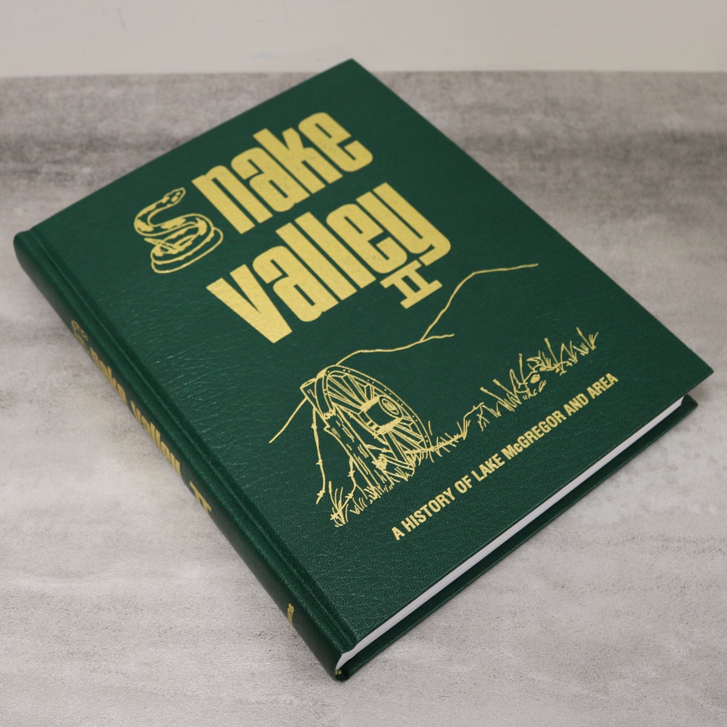 Snake Valley 2 Lake McGregor Milo Alberta Canada Canadian Local History Book