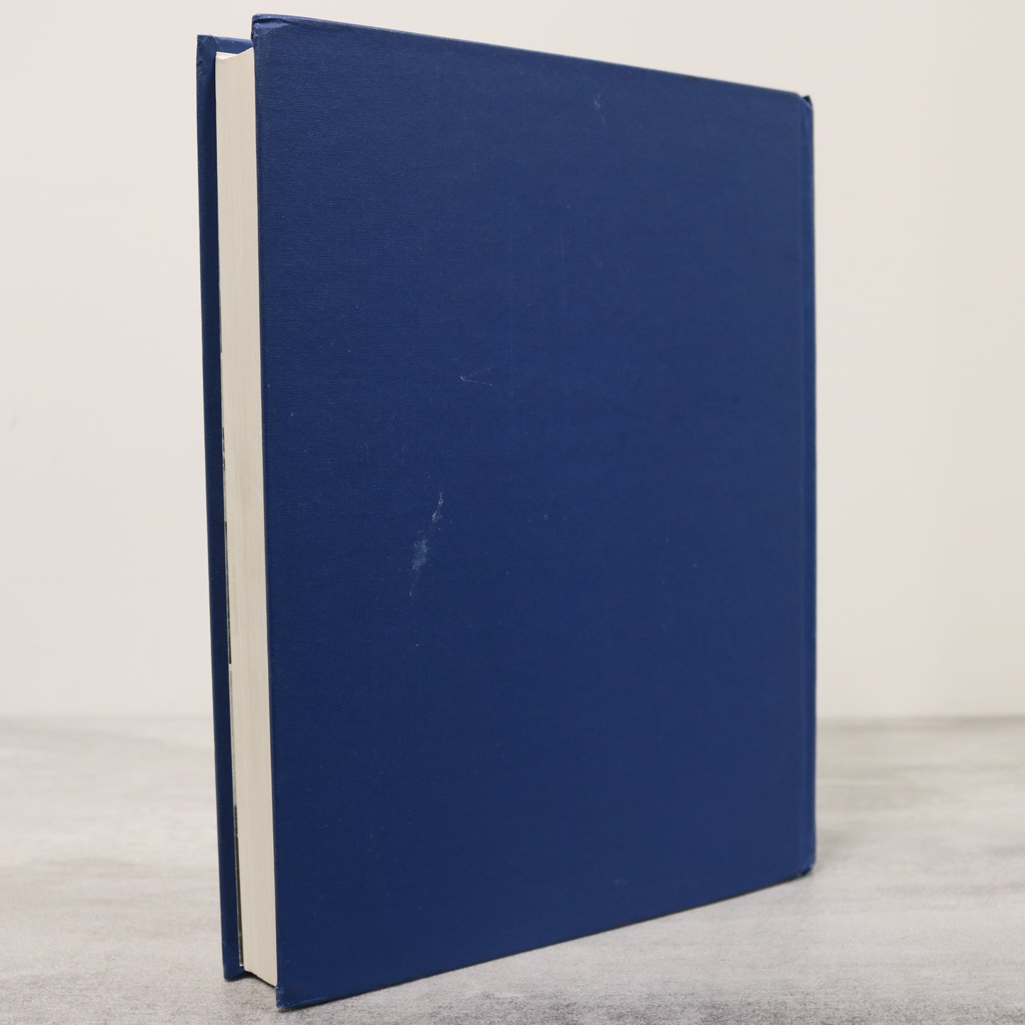 Times Past Present Allan Saskatchewan Canada Canadian Local History Book