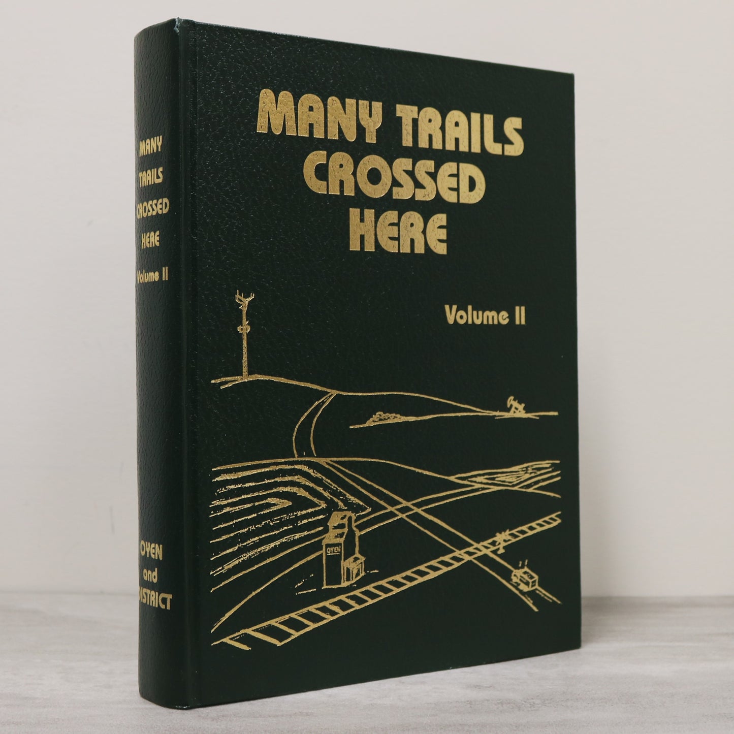 Many Trails Crossed Here Volume II Oyen Alberta Canada Canadian History Book