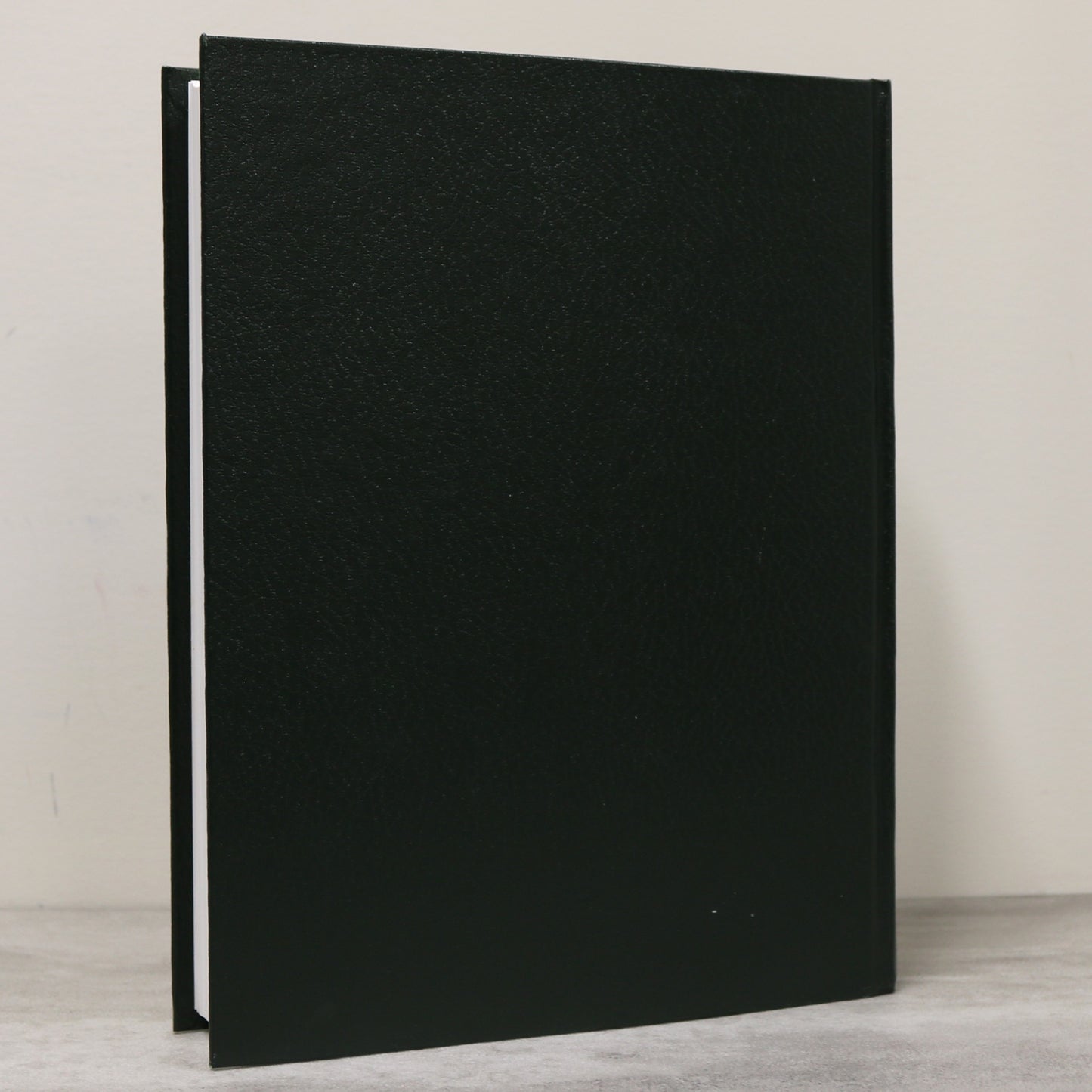 Many Trails Crossed Here Volume II Oyen Alberta Canada Canadian History Book