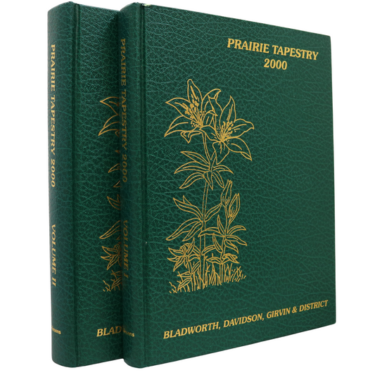 Prairie Tapestry 2000 2Vol Davidson Saskatchewan Canada Canadian Local History Book