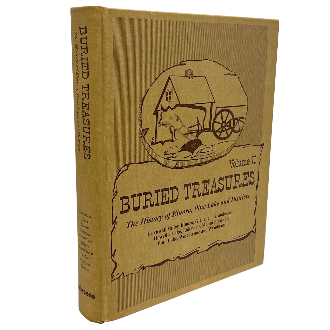 Buried Treasures Elnora Pine Lake Alberta Canada Canadian Local History Used Book