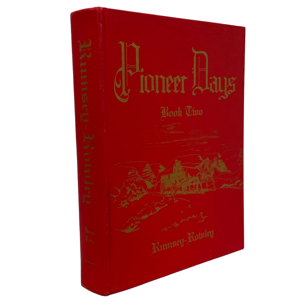 Pioneer Days Rumsey Rowley Vol. 2 Alberta Canada Canadian Local History Book