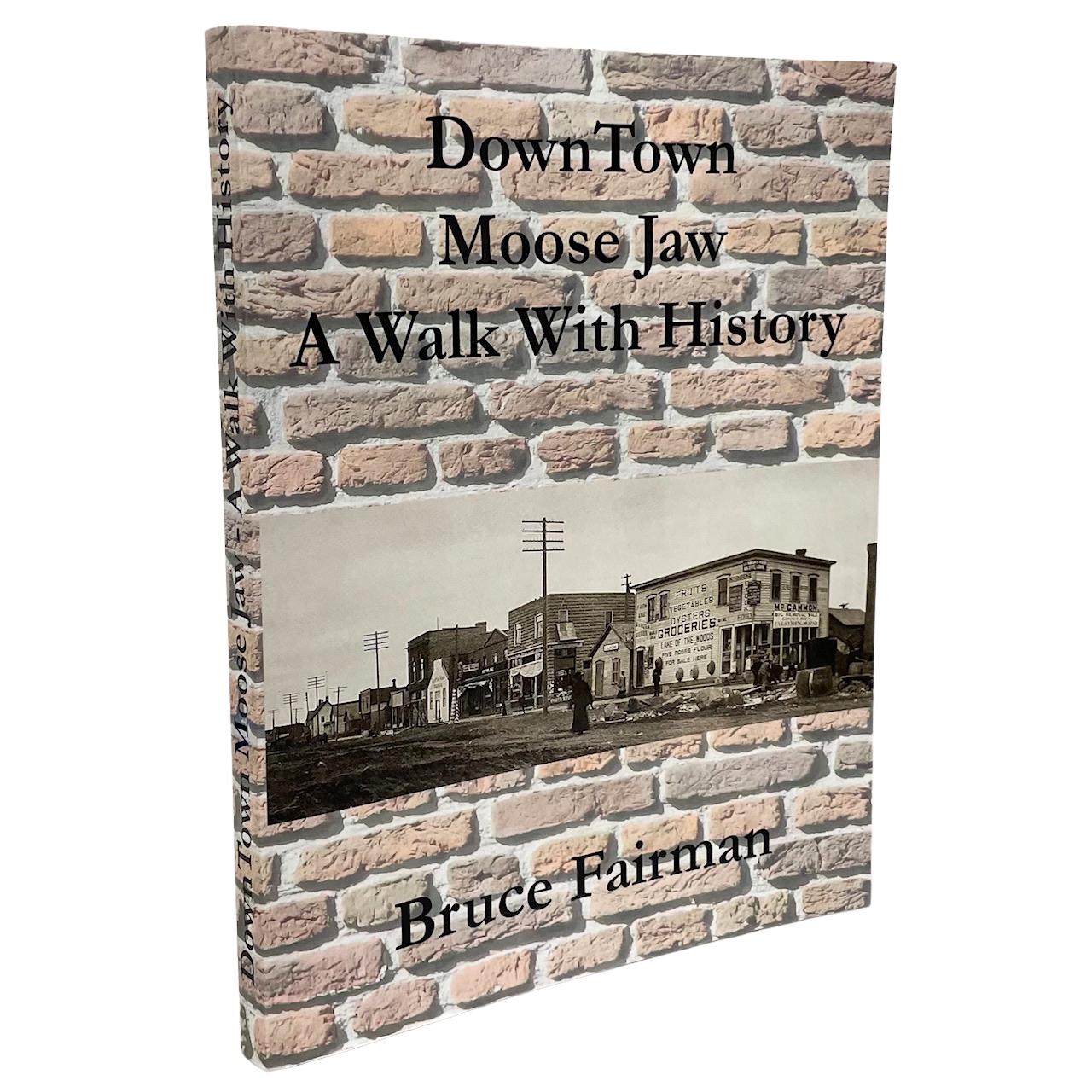 Downtown Moose Jaw History Saskatchewan Canada Canadian Used Book