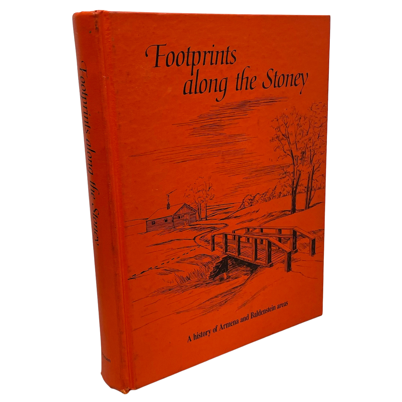 Footprints Along Stoney Armena Baldenstein Alberta Canada Camrose History Used Book