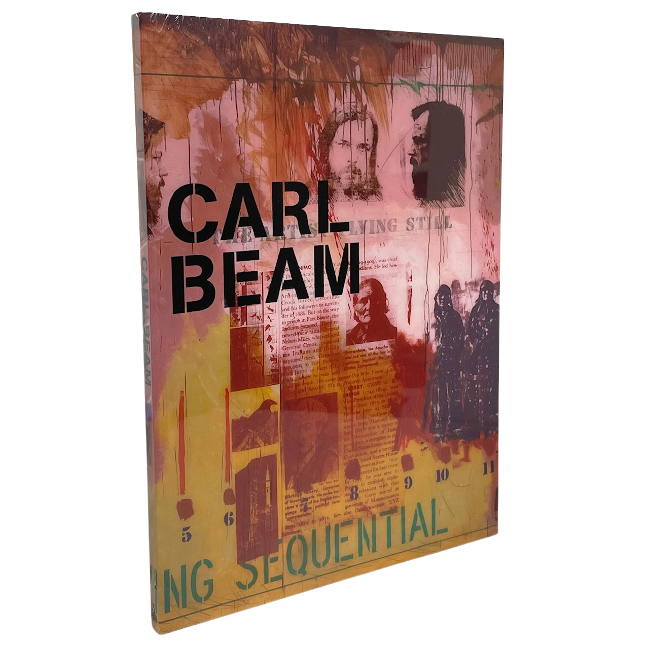 Carl Beam Canadian Art Artist Canada First Nations Painter Indigenous Book