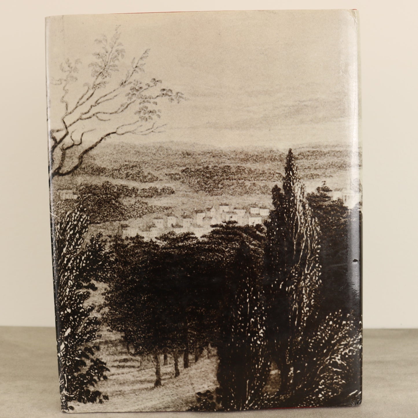 Images Columbus Georgia United States USA Local Pictorial History Used Book